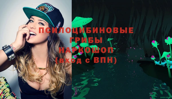 дживик Алексин